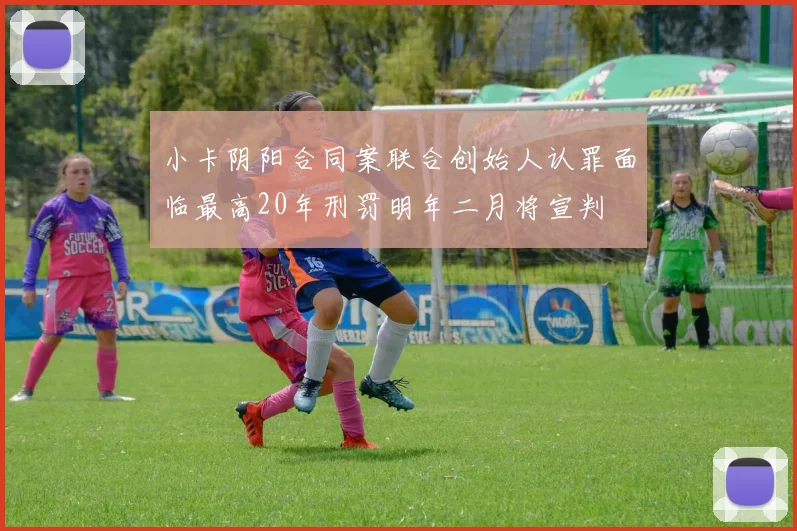 小卡阴阳合同案联合创始人认罪面临最高20年刑罚明年二月将宣判