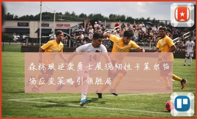 森林狼逆袭勇士展现韧性卡莱尔临场应变策略引领胜局